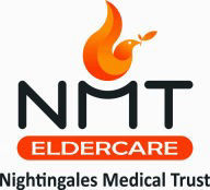 NMT Logo