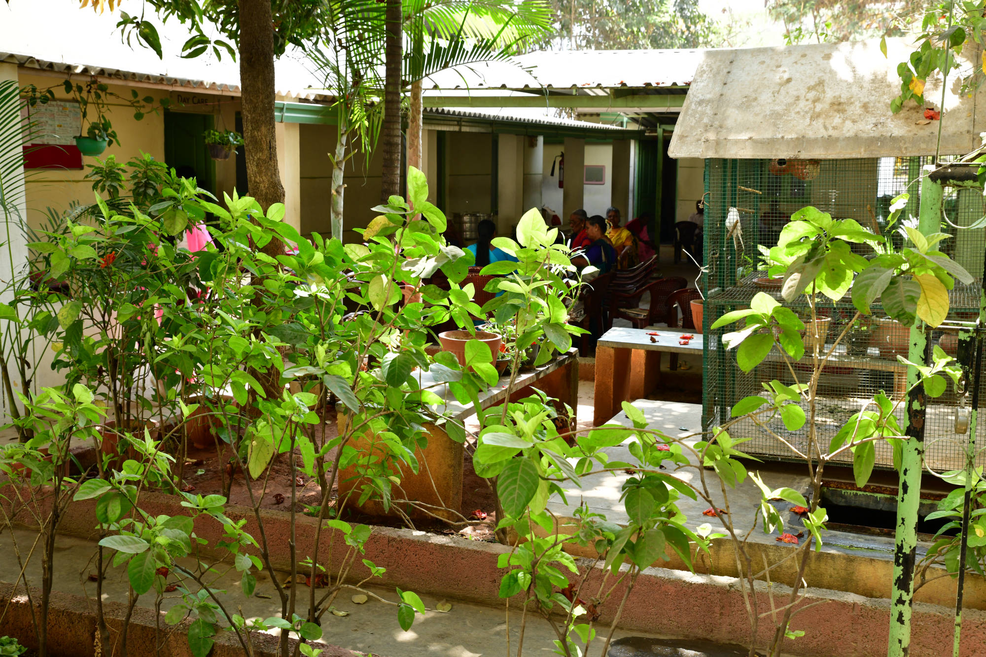 Centre filled with Plants and Trees