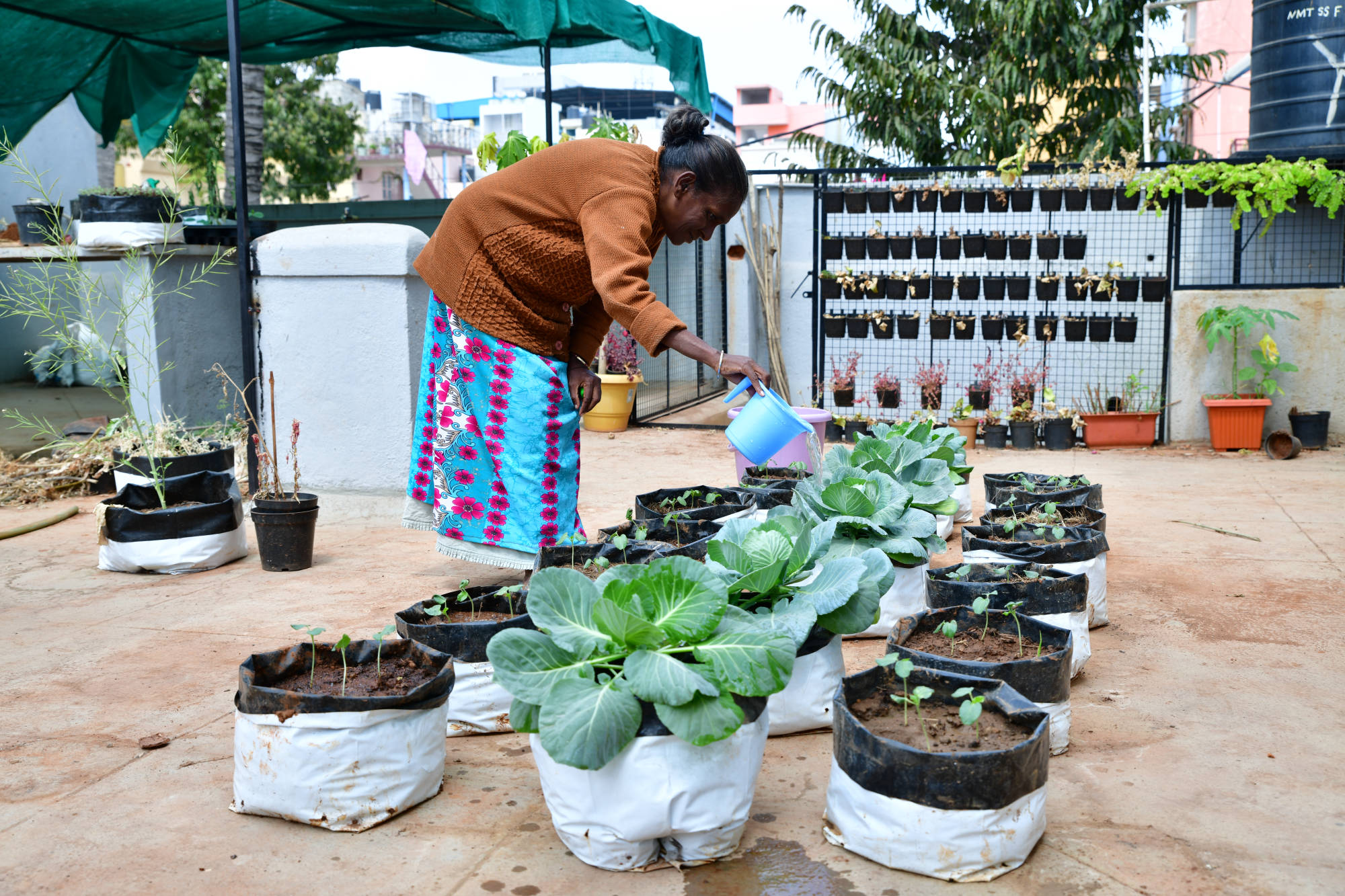 An Elder who loves gardening