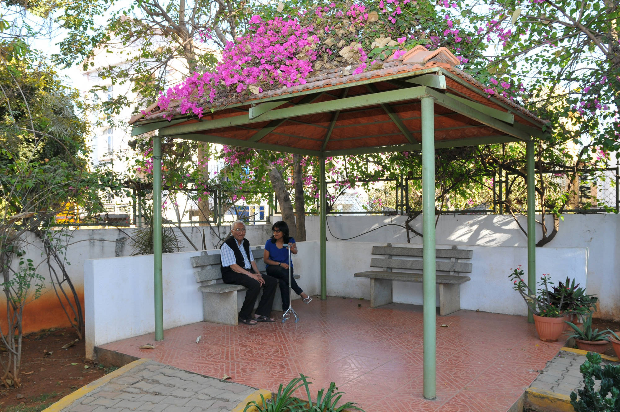 Gazebo in the garden at NCAA